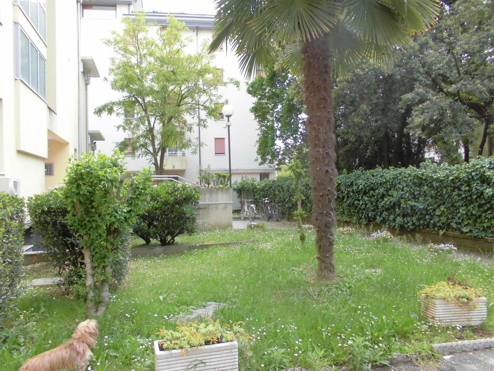 Appartamento Girasole Mestre